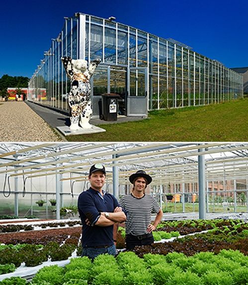 小空间大能量 城市农场引领人类食物未来