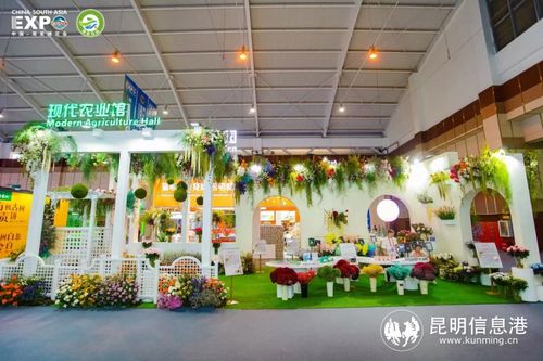 千种农产品亮相现代农业馆，助力云南农业品牌迈向新高度