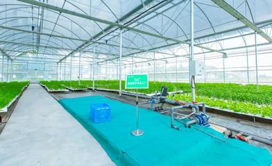 广陈镇绿迹数字农业工厂 科技赋能农业，扮靓特色美丽城镇