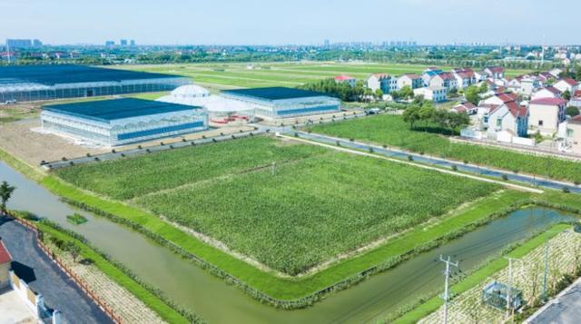 注入创新因子、推动融合发展——一名“95后”的农产品种植创新创业故事