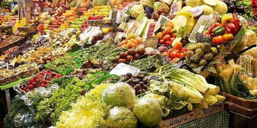 合肥农产品产销对接会 两万余种源产地农产品，共绘农业新图景